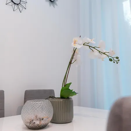 Il Mandorlo - Casa Palmeri